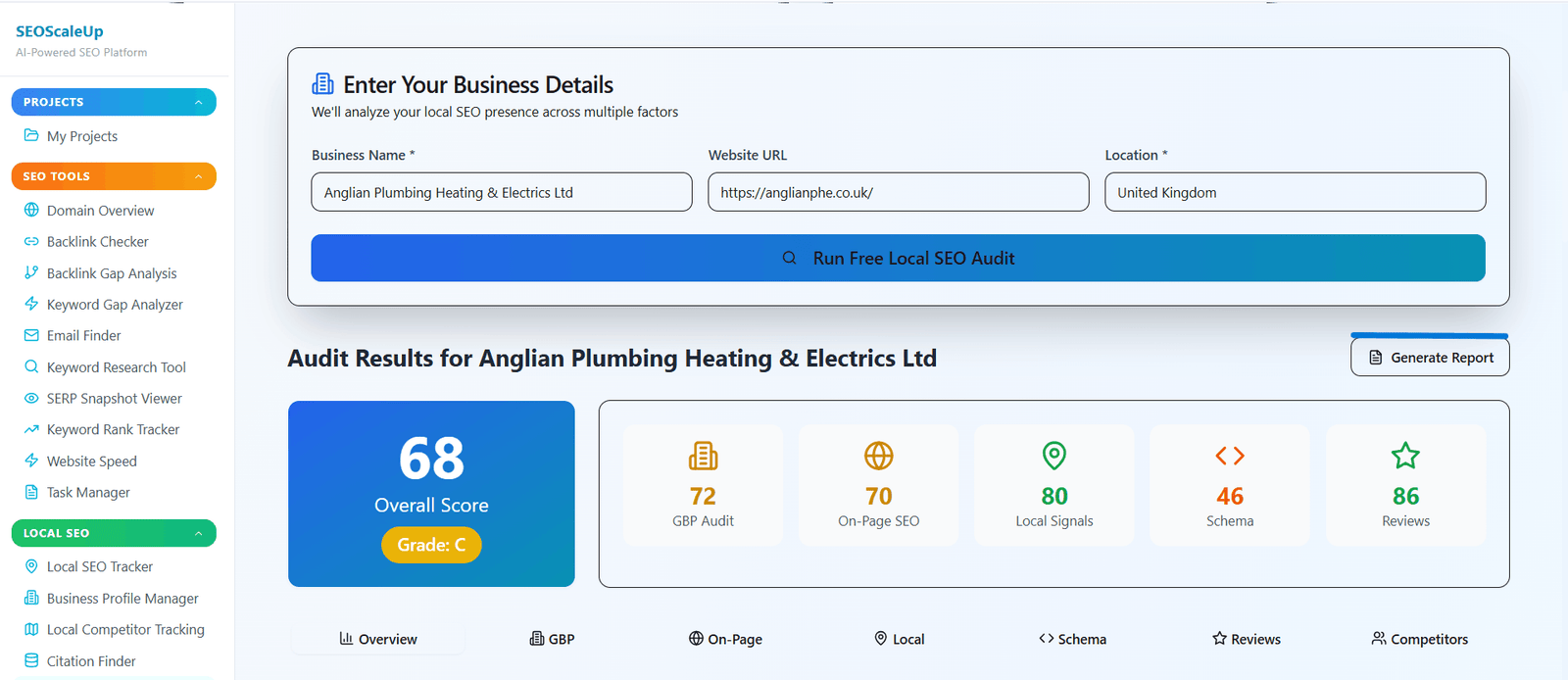 Local SEO audit results dashboard