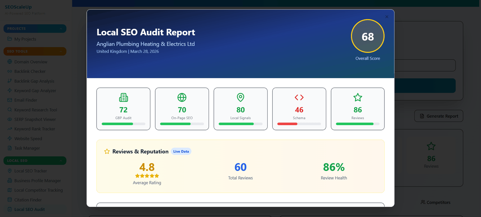 Generated audit report